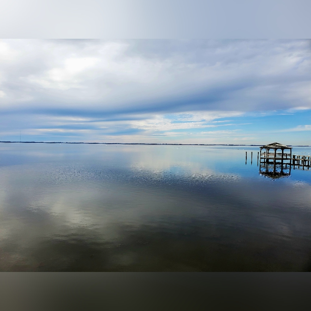 Water Reflection Print 10"x12"